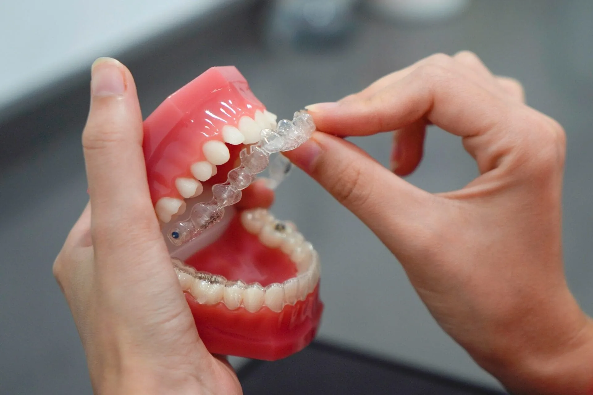 A person holding a plastic model of a mouth